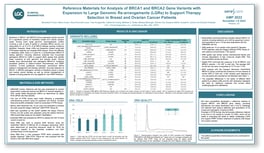 Reference Materials for Analysis of BRCA1 and BRCA2 Gene Variants